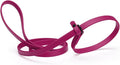 Dogline Biothane Slip Dog Leash - for Small, Medium and Large Dogs - Odor Free Slip Lead, Heavy Duty and Durable Material Kennel Lead - Magenta Pink - 5ft L x 5/8in W