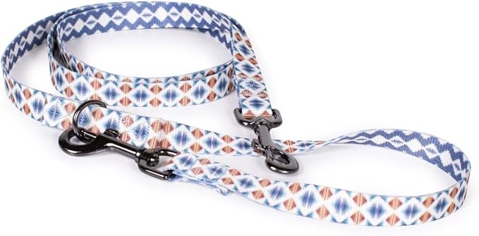 Pendleton Classics Adventure Leash - Falcon Cove, 1" w