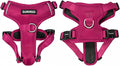DJANGO Tahoe No Pull Dog Harness – Escape-Proof Dog Harness for Medium & Large Dogs w/Front & Back Clips for Everyday Use – Adjustable, Padded, Reflective, Secure, Easy On/Off – Hibiscus Pink, Large