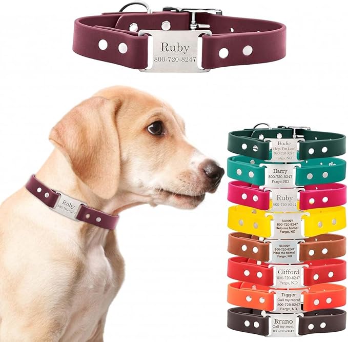 dogIDs Personalized Dog Collar – ScruffTag Custom Waterproof Biothane Dog Collar with Laser-Engraved Name, Durable & Odor-Resistant – USA Made | Wine, 1 in x 20 in (Fits Neck Sizes 18-22 in)
