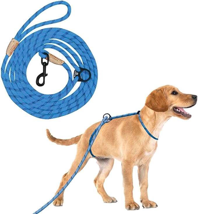 12ft No Pull No Choke Leash Long Rope Dog Leash, Anti Pulling, Dog Leads for Walking, Double Hook & Escape Proof for All Breeds, Reflective Teal
