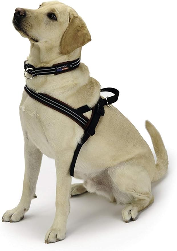 ComfortFlex Sport Dog Harness – No-Choke, Fully Padded, Non-Chafing Harness with Control Handle – Reflective, Lightweight, Adjustable for Active Dogs - XSmall, Berry