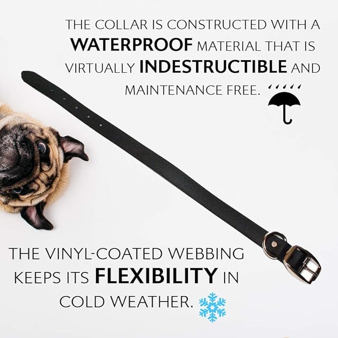 Regal Dog Products Medium Black Waterproof Dog Collars with Custom Engraved Name Plate | Vinyl Coated, Anti, Easy to Clean Personalized Biothane Dog Collar - Other Sizes for Small & Large Dogs