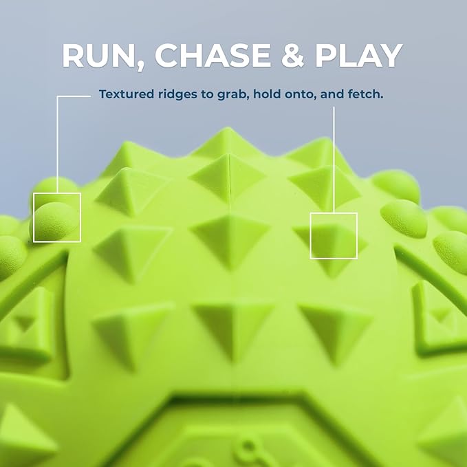 Best Pet Supplies Squeaky Dog Toys with Soft Durable Fabric for Small, Medium and Large Pets Interactive Toy for Indoor Play, Supports Active Biting and Play - Green (L:3.5")
