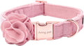 ARING PET Velvet Dog Collars, Pink Soft Pet Collar with Detachable Felt Flower Metal Buckle for Puppy Small Medium Large Boy Girl Dogs-M