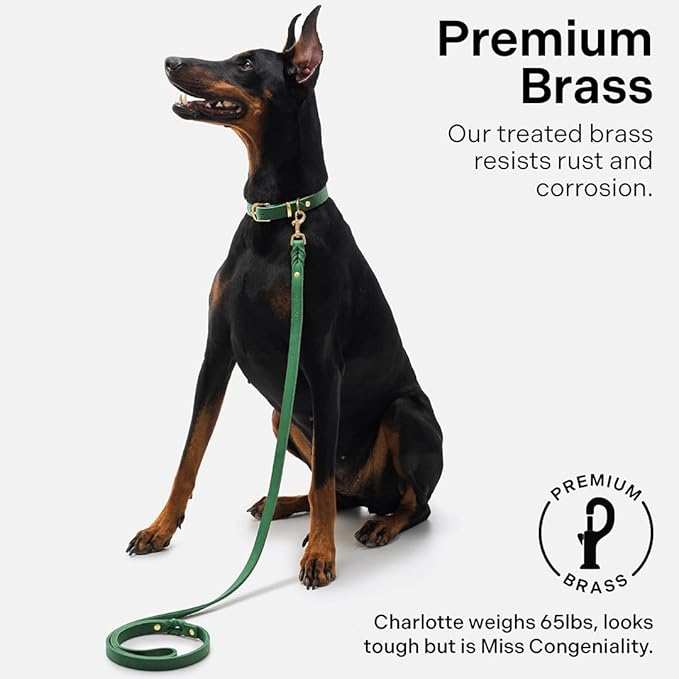 Scout Supply Classic Leather Dog Leash | Strong Heavy Duty Thick Full Grain Leather | Waterproof & Rust-Proof Brass Hardware (Green, M: 4.5 ft x 1/2 in)