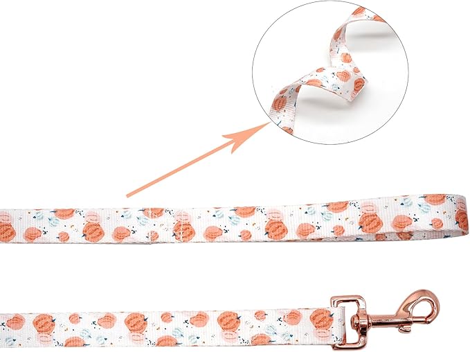 Elegant little tail Dog Collar with Leash, Pumpkin Print Pet Collar Leash Adjustable Collar for Small Medium Large Dogs Soft Puppy Collars with Quick Release Buckle Girl Boy Dog Collars