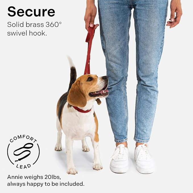 Scout Supply Classic Leather Dog Leash | Strong Heavy Duty Thick Full Grain Leather | Waterproof & Rust-Proof Brass Hardware (Red, L: 4.5 ft x 2/3 in)
