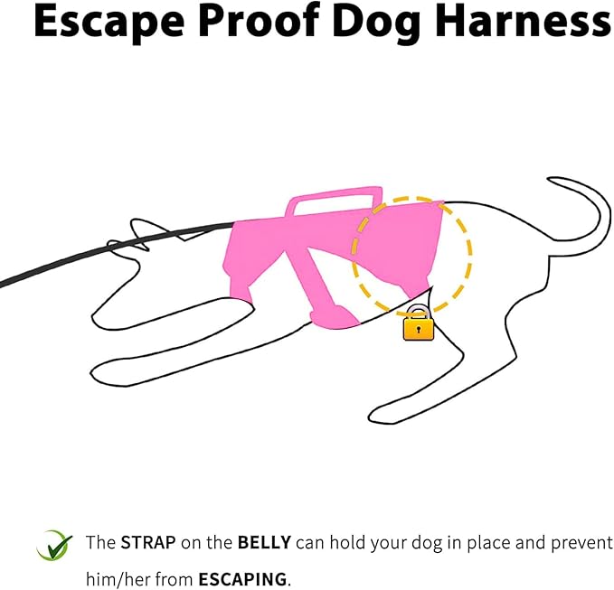 Huntboo Escape Proof Dog Harness, Escape Artist Harness, Reflective Dog Harness with Handle, Durable,Adjustable Vest for Small Medium Large Dogs Walking, Training, and Running Gear(Rose Red, M)