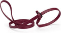Dogline Biothane Slip Dog Leash - for Small, Medium and Large Dogs - Odor Free Slip Lead, Heavy Duty and Durable Material Kennel Lead - Merlot Burgundy - 5ft L x 3/8in W