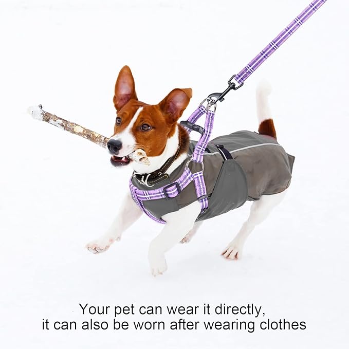 BEAUTYZOO No Pull Dog Harness and Leash Set - Adjustable Step-in Puppy Harness for Small Medium Large Dogs, Escape Proof Soft Nylon Vest with Double D Ring for Walking Running Training, Purple S