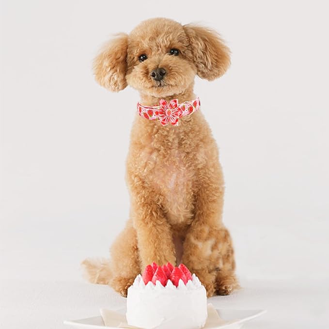 Elegant little tail Dog Collar, Spring Dog Collar with Flower Strawberry Print Cotton Soft Female Pet Collar Flower Adjustable Dog Collars for Small Dogs