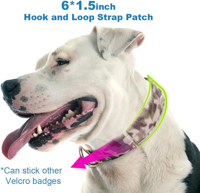 TSPRO Tactical Dog Collar, Adjustable, with Patch & Double Needle Metal Buckle, Heavy Duty for Medium to Large Dogs, Durable for Walking, Running, Hiking & Training (Camo Khaki M+)