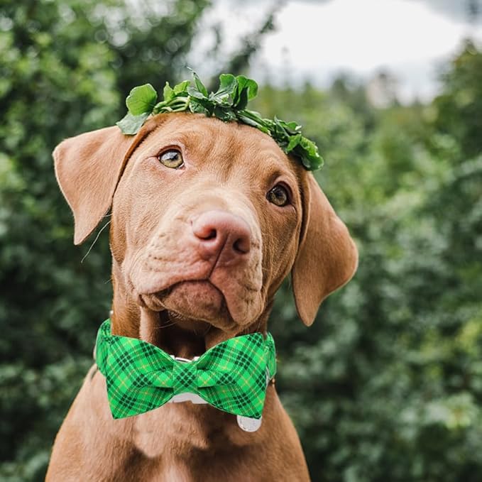 DOGWONG St. Patrick's Day Dog Collar-Cute Green Dog Collar with Bow, Cotton Green Plaid Bowtie Dog Collars with Metal Buckle for Small Medium Large Dogs