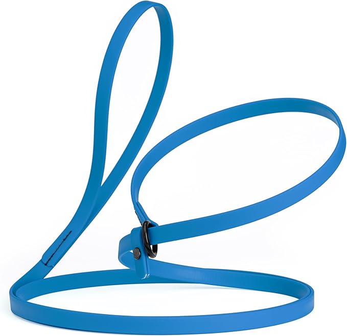 Dogline Biothane Slip Dog Leash - for Small, Medium and Large Dogs - Odor Free Slip Lead, Heavy Duty and Durable Material Kennel Lead - Cerulean Blue - 7ft L x 1/2in W