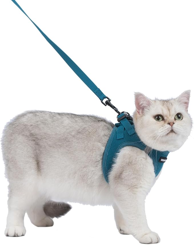 Voyager Step-in Pet Harness - All Weather Mesh, Adjustable Step in Harness for Cats and Dogs by Best Pet Supplies - 307S Turquoise, XS