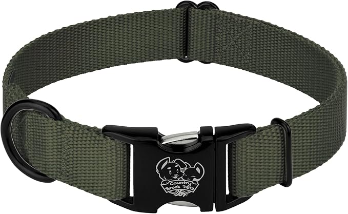 Country Brook Petz - Premium Nylon Dog Collar with Metal Buckle for Small Medium Large Breeds - 10+ Cool Colors (Small, 3/4 Inch, Dark Olive Drab)
