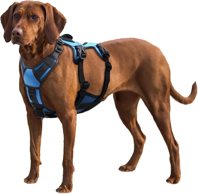 AUROTH Escape Proof No Pull Dog Harness with Lift Handle, Soft Padded Reflective Adjustable Vest, Large for Walking Hiking Training