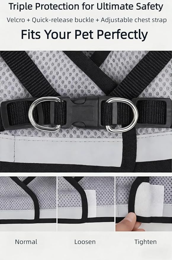 Dog Harness and Leash Set-No Pull No Choke Step-in Pet Harness for All Weather Lightweight Adjustable Cat Harness Breathable Soft Mesh Puppy Vest with Hook & Loop Fastener Buckles D-Rings-Gray-M