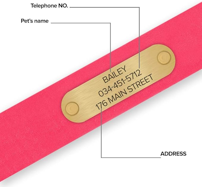 Regal Dog Products Medium Pink with Custom Engraved Waterproof Dog Collar and Leash Set | Waterproof Dog Collar with Double Buckle & D Ring - 5'ft Leash | Matching Dog Collar and Leash for Dogs