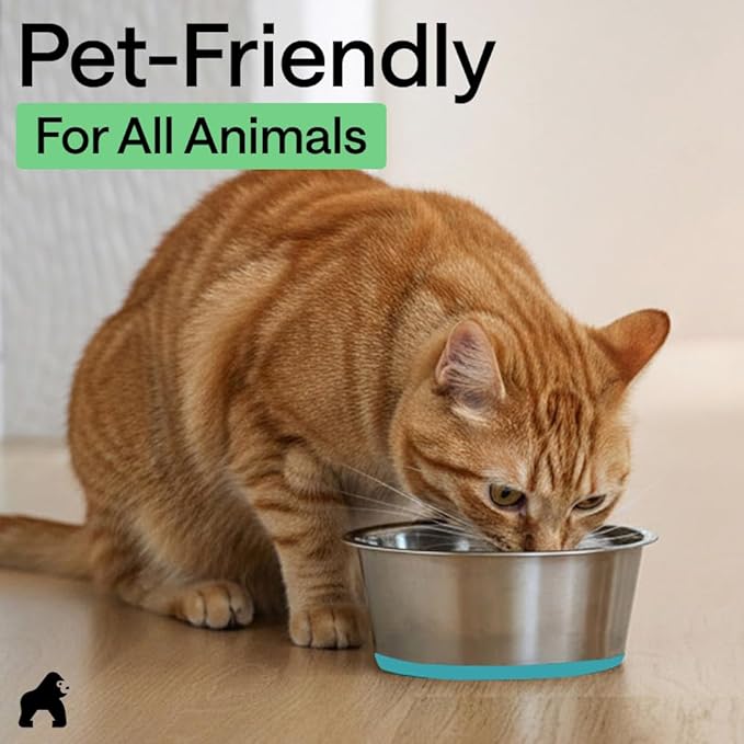 GORILLA GRIP Set of 2 Dog Bowls, Holds 6 Cups (48 fl oz), Heavy Duty Metal Food and Water Bowl for Feeding Dogs and Cats, Dishwasher Safe Rust Resistant Stainless Steel, BPA Free Rubber Base Turquoise