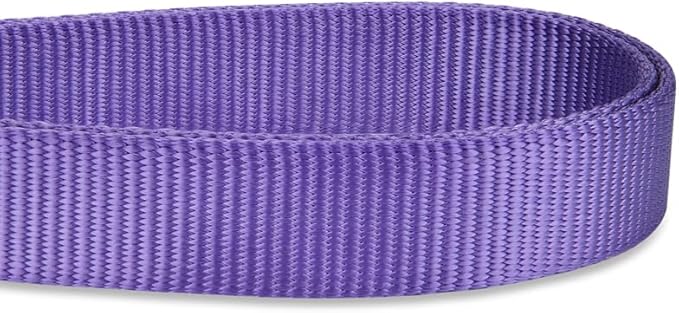 Hyhug Nylon Adjustable 4-6ft Dog Leash with Soft Neoprene Padded Handle, Durable Heavy Duty Leash with Easy-to-Use Bolt Snap, Ideal for Jogging Outdoor