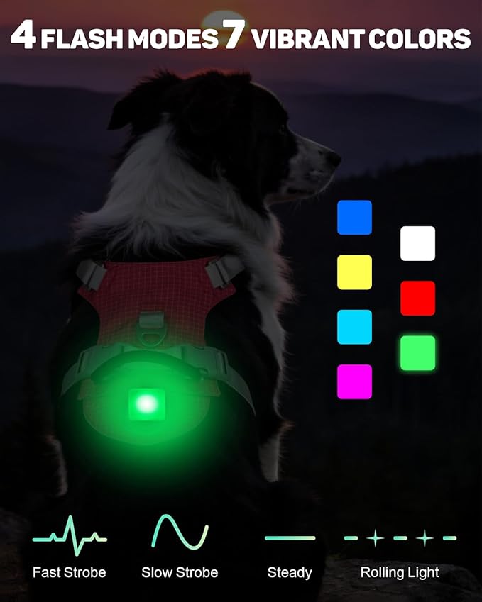 TagME No Pull Dog Harness with 2 Leash Clips,Lightweight & Visible for All-Day Walking,No Choke Pet Vest Includes AirTag Holder for Large Dogs,Melon Red