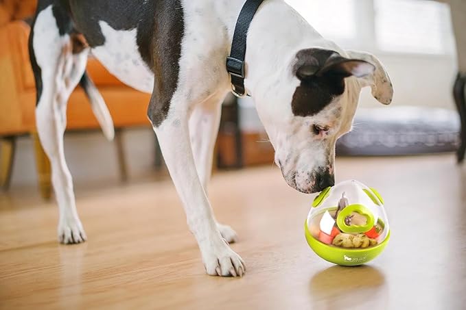 Wobble Ball Interactive Food & Treat Dispensing Puzzle Toy for Puppies & Dogs - Slow Feeder, Mental Enrichment, Forage Skills, Training, Relieves Boredom - Dishwasher Safe, Easy to Clean (Lime Green)