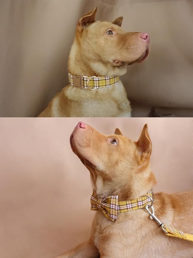 PETDURO Personalized Plaid Dog Collar Lemon Yellow - Engraved Name and Phone Number on Gold Metal Buckle - Custom for Small Medium Large Boy Girl Dogs - Add Leash Bow Tie via Customize Now