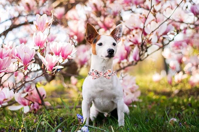 Elegant little tail Pink Floral Dog Collar, Girl Dog Collar with Bow Adjustable Soft Bow tie Dog Collars for X-Small Dogs and Cats