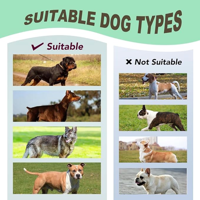 TSPRO Premium Heavy Duty Tactical Dog Harness for Medium/Large Dogs, No Pull, Adjustable, Padded Handle & Quick-Release Buckles, Ideal for Hiking, Walking, Running, Training (Khaki M)
