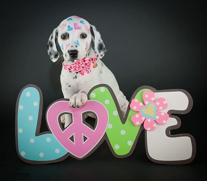 DOGWONG Valentine's Dog Collar with Flower - Pink Heart Adjustable Cotton Heart Dog Collar - Perfect for Small, Medium, Large Dogs