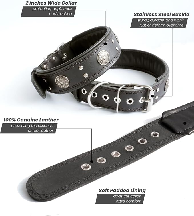 Leather Dog Collar, 2 inches Wide Heavy Duty Genuine Leather Collars, Handmade, Soft, and Luxury, Eye-catching Best Choice for Large and Medium Breed Dogs, Black 18.5-22.5 inches