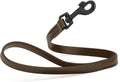 Dogline Biothane Waterproof Dog Leash Strong Coated Nylon Webbing with Black Hardware Odor-Proof Easy to Clean High Performance for Small or Large Dogs Made in USA 2 ft Lead, Dark Chocolate Brown