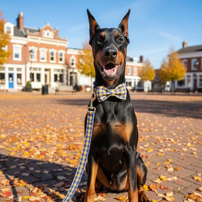 PETDURO Personalized Checkered Plaid Dog Collar Blue Yellow - Engraved Name and Phone Number on Gold Metal Buckle - Custom for Small Medium Large Boy Girl Dogs - Add Leash Bow Tie via Customize Now