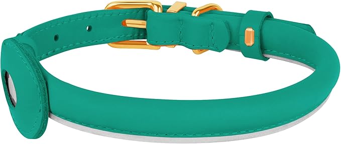 OOPSDOGGY Rolled Leather Dog Collar with Airtag Holder - Reflective Round Airtag Dog Collar - Soft Tracking Pet Collar for Small Dogs Puppy Cats Kitten (Teal, XXS, 7"-9")