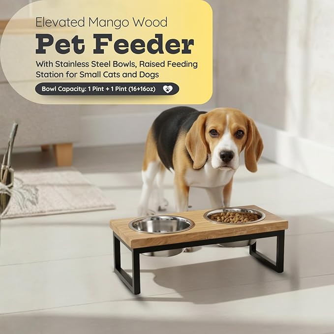 Elevated Dog Bowls, 4.5" Mango Raised Dog Bowl Iron Frame for Small-Med Dogs & Cats with 2 Pcs 32 oz Stainless Steel Pet Dishes, Food & Water 4Cup/0.95L Capacity Nonslip Feeding Station