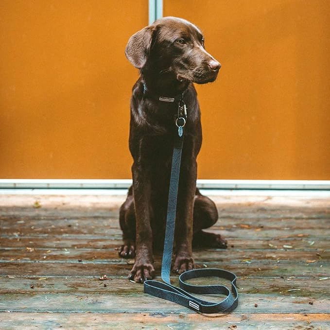 Wilderdog Waterproof Dog Collar - Repels Water & Dirt - Small 11"-15" - Black