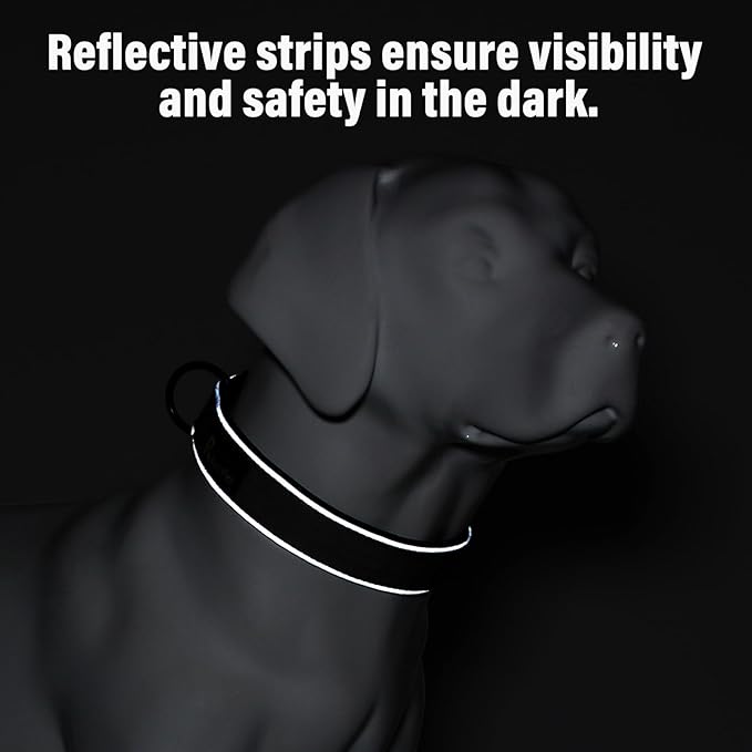 Plutus Pet Tactical Dog Collar, Reflective, Adjustable Heavy Duty Dog Collar, Soft Padded and Comfortable, for Small Medium and Large Dogs (Brown, XL)