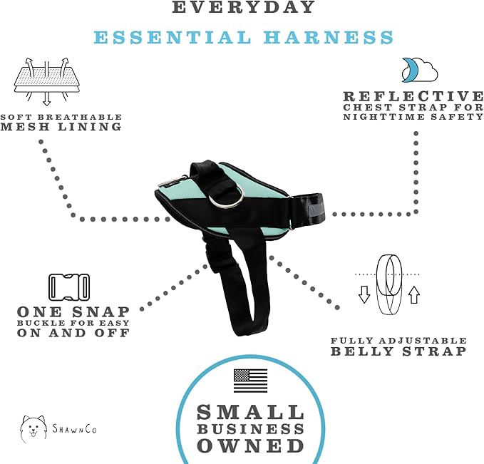 ShawnCo Essential Dog Harness, No-Pull Pet Vest with 3 Leash Clips, No Choke, Reflective, Adjustable and Padded, for Easy Walking and Training for Small, Medium and Large Dogs (Seafoam, XS)