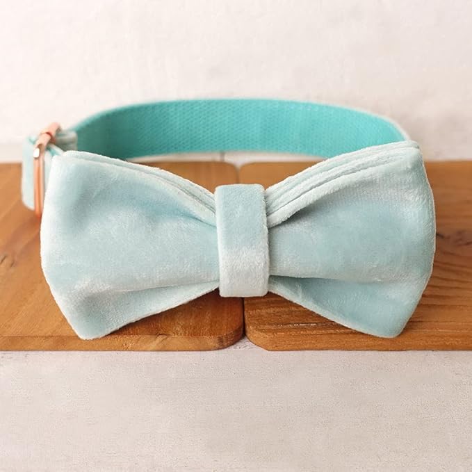 PETDURO Custom Dog Collar Personalized with Name Engraved Quick Release Rose Gold Metal Buckle for Large Medium Small Girl Dogs - Dog Leash and Bow Tie Available - Soft Comfy Velvet (Mint Blue, L)