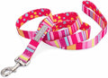 Lucky Love Dog Leash - Colorful Stripes, Yellow, Pink, Blue - Cute Female Dog Leash (Large, Molly)