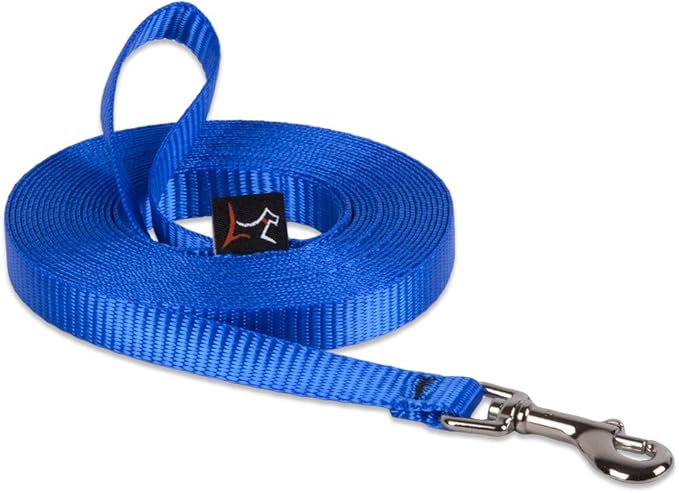 LupinePet Basics 1/2" Blue 30-foot Extra-Long Training Lead/Leash for Small Pets