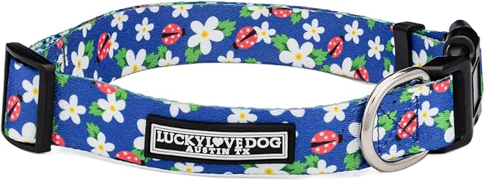 Lucky Love Dog - Adjustable Dog Collar with Easy Click Buckle for Small Dogs, Durable, & Comfortable for Male & Female Dogs, Pet Collar for Puppies & Adult Dogs - Lilian, Small