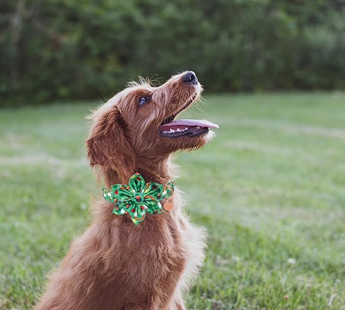 DOGWONG Green Lucky Clover Shamrock Dog Collar with Bowtie, Soft Adjustable St. Patrick's Day Lucky Charm Black Puppy Collar for Small Medium Large Dog