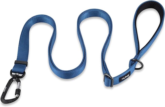 Hyhug Nylon Adjustable 4-6ft Dog Leash with Soft Neoprene Padded Handle, Durable Heavy Duty Leash with Easy-to-Use Bolt Snap, Ideal for Jogging Outdoor