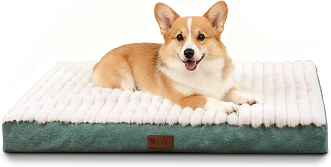 Orthopedic Dog Bed with Firm High-Density Egg Crate Foam, Machine Washable Cover & Non-Slip Bottom for Medium Breeds (Green, 29" L x 18" W x 3" H)