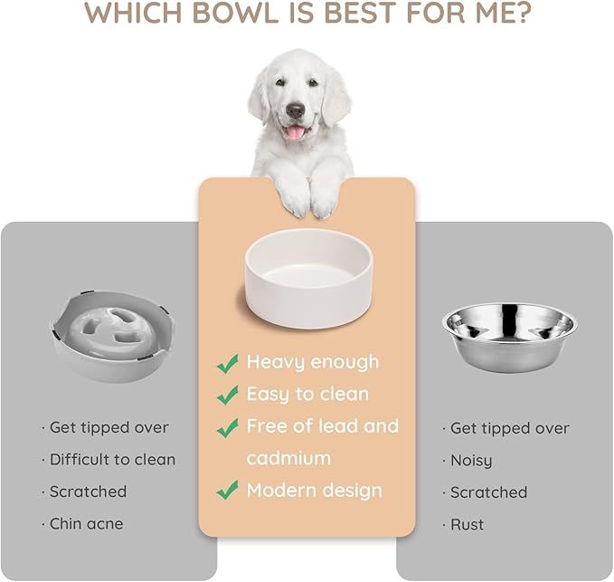 SPUNKYJUNKY 60OZ Ceramic Dog and Cat Bowl, Modern Cute Weighted Food Water Bowl for Replacement White (2 Pack)