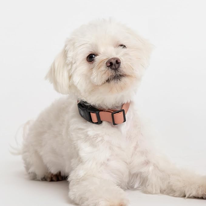 2026 New Edition, Fei & Eve PVC MagEase Dog Collar - Patented Magnetic Buckles | Quick-Release | 450LB Escape-Proof | Fur-Safe | Adjustable Fit | Medium Blush