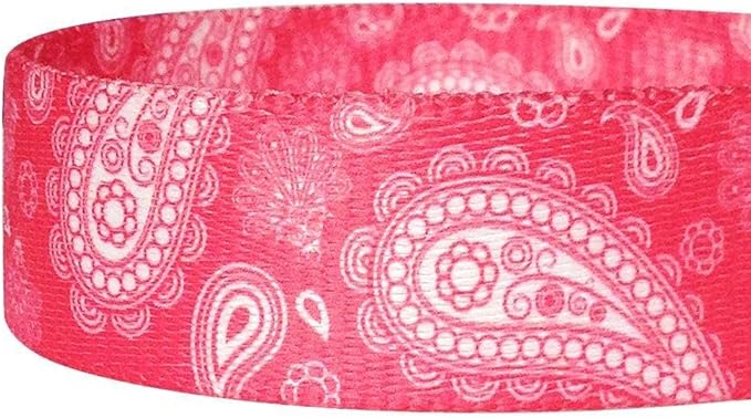 Blueberry Pet 5 Colors Paisley Flower Print Dog Leash with Soft & Comfortable Handle, 4 ft x 1", Pink, Large, Leashes for Dogs